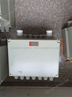 河北CJX51不锈钢防爆接线箱定制-防爆电机接线盒现货