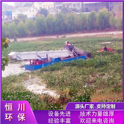 湖面清洁船 水面保洁割草设备 水葫芦破碎船 恒川机械