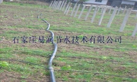 滴灌设备-宜阳县抗老化PE水管 型号