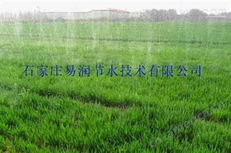 丰润区大棚微喷带灌溉|品质优保证